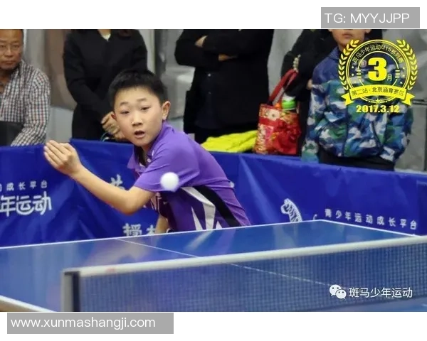 重庆乒乓球队的崛起之路与成长历程全景揭秘